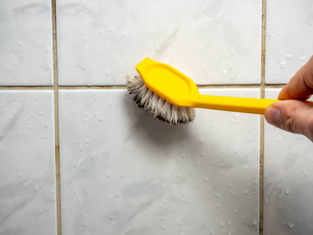 Professional Mold Removal in Amity Gardens, PA