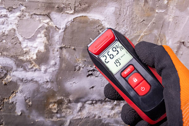 Crawl Space Mold Removal in Amity Gardens, PA