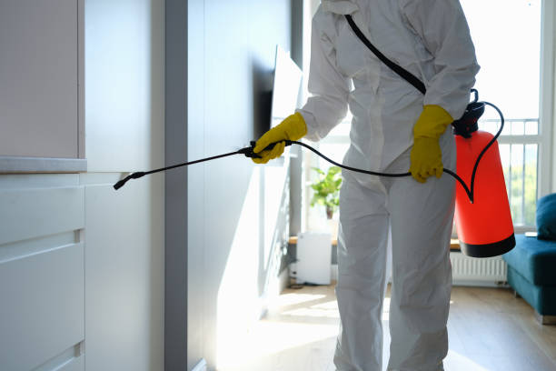 Best Fast Mold Removal  in Amity Gardens, PA