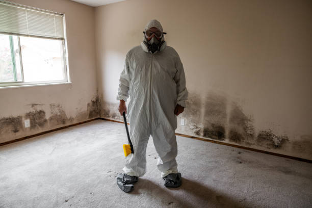 Best Residential Mold Removal  in Amity Gardens, PA